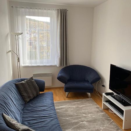 Apartman Radmila Luhacovice Exterior photo